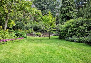 Optimiser l'expérience du jardin à Villefranche-de-Conflent